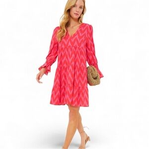 Pomander Place Hot Pink Ikat Kenzo Dress Size L